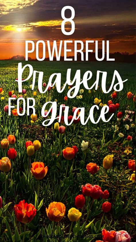 Need some extra grace in your life? Learn how you can pray for grace and use these prayers as a guide in your time with Jesus. Praying For Traveling Grace, Prayers For Grace And Favor, Prayers For Grace, Bible Study On Grace, Prayer For Grace, Fast And Prayer Guide, Diy Baskets, Prayer For Church, Porch Christmas Decor Ideas