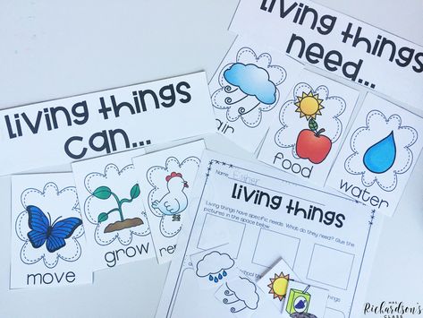 Living Things Activities Preschool, Living Things Kindergarten, Living And Non Living Things Activity For Kindergarten, Living And Non Living Things Activities, Living Vs Nonliving Preschool, Living And Non Living Things Anchor Chart, Living And Nonliving Things Kindergarten, Activity On Living And Non Living Things, Life Cycles Preschool