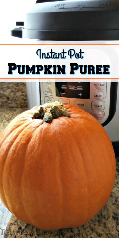 Fresh Pumpkin Puree, Make Pumpkin Puree, Puree Pumpkin, Instant Pot Pumpkin, Puree Recipes, Pumpkin Puree Recipes, Power Pressure Cooker, Vegan Instant Pot Recipes, Fresh Pumpkin