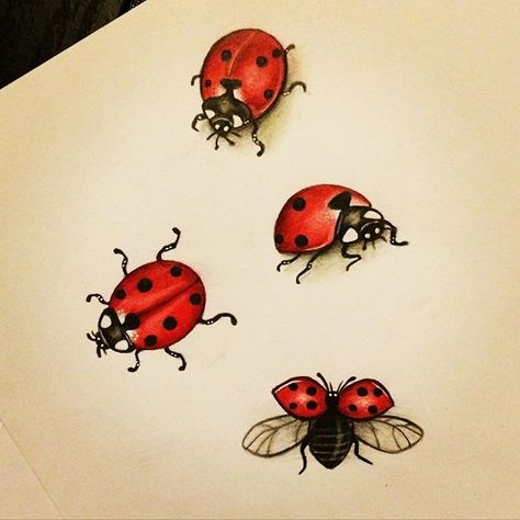 Ladybug Tat, Ladybird Tattoo, Ladybug Tattoos, Bugs Drawing, Ladybug Tattoo, Bird Tattoo Wrist, Lady Bug Tattoo, Bug Tattoo, Insect Tattoo