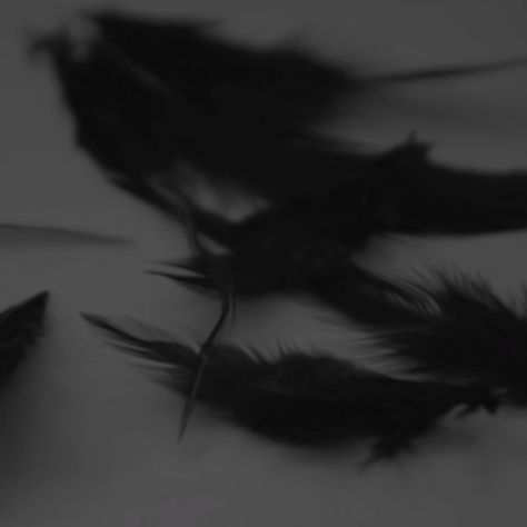 Dark Ballet Aesthetic, Viserra Targaryen, Fem Aesthetic, Red Eagle, Dark Swan, Dark Wings, Swan Queen, Black Wings, Princess Aesthetic