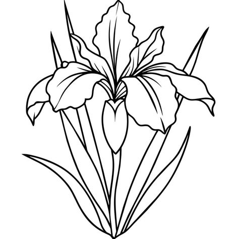 Iris Flower Drawing Simple, Iris Flowers Drawing Easy, Plant Outline, Book Page Design, Iris Drawing, Purple Iris Flowers, Louisiana Iris, Black And White Line Art, White Line Art