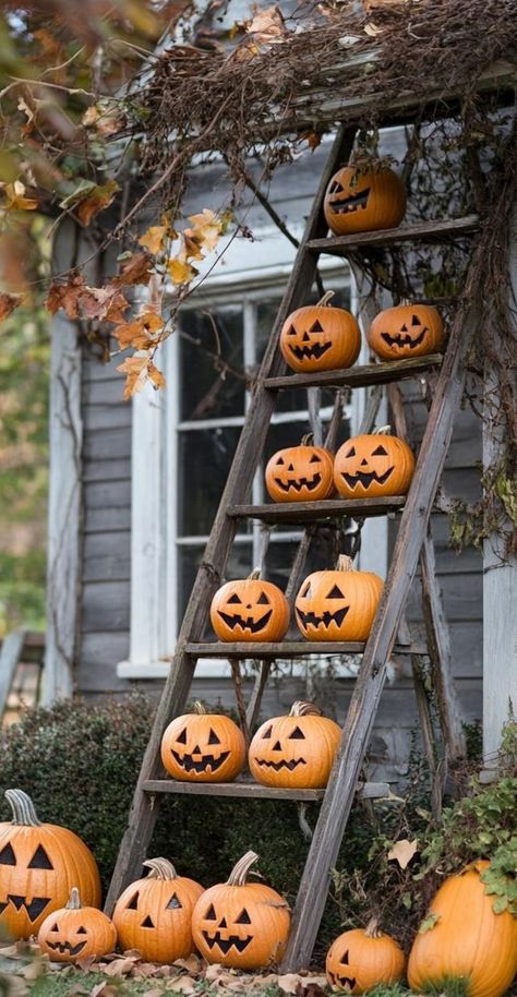 Elevate your homes Halloween spirit with hauntingly beautiful outdoor decorations. Arrange a collection of white pumpkins and ghostly figures on the porch for an elegant, ethereal display. Create a bewitching entryway with a wreath of black feathers and miniature skulls. Line the walkway with lanterns containing flickering LED candles. Hang bat silhouettes from tree branches using fishing line for a fluttering effect. Place oversized potion bottles filled with glowing liquid near the entrance. T Bat Silhouette, Creepy Decor, Potion Bottles, Halloween Outdoor, Hauntingly Beautiful, Outdoor Decorations, Halloween Spirit, White Pumpkins, Outdoor Halloween