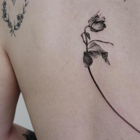 Dry Flower Tattoo, Dry Flowers Tattoo, Dried Rose Tattoo, Dried Flowers Tattoo, Wilted Rose Tattoo, Dried Flower Tattoo, Rose Side Tattoo, Dead Rose Tattoo, Rose Tattoo On Side