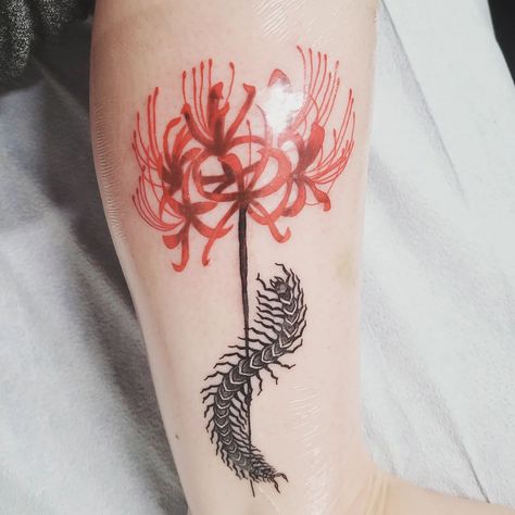 @kaur_daljeett did this anime inspired tattoo from Tokyo Ghoul, of a red spider lily with a centipede, done in an anime style, though semi colour realistic. Centipede With Flowers Tattoo, Tokyo Ghoul Tattoo Spider Lily, Red Spider Lily And Centipede Tattoo, Tokyo Ghoul Matching Tattoos, Centipede Tattoo Design Tokyo Ghoul, Spider Lily Tokyo Ghoul Tattoo, Tokyo Ghoul Centipede Tattoo Design, Spider Lilly Tatoos Tokyo Ghoul, Tokyo Ghoul Inspired Tattoo