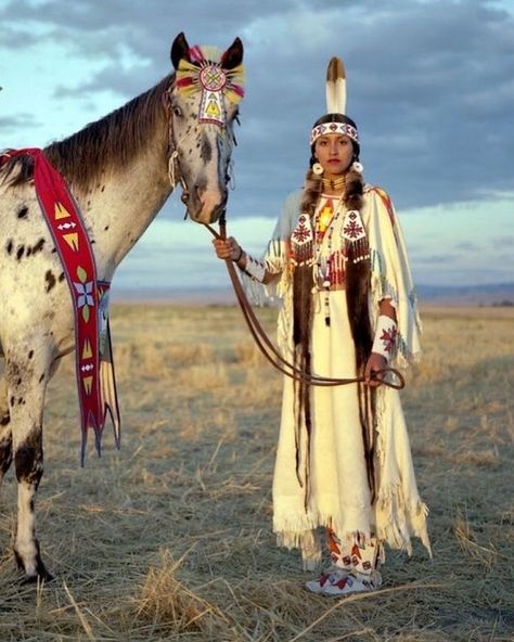 Native American Dance, American Indian Girl, Native American Dress, Native American Horses, Native American Woman, Native American Paintings, American Indian History, Native American Images, Native American Pictures