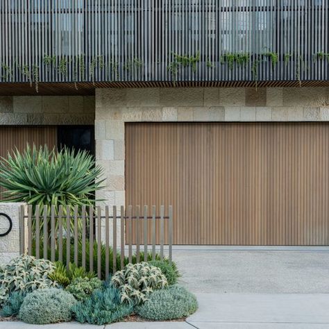 Project Bronte Facade Garden Design, Contemporary Front Garden, Lomandra Lime Tuff, Zamia Furfuracea, Coastal Garden, Pool Landscape Design, Front Garden Design, Australian Garden, Coastal Contemporary