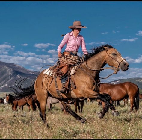 Cowgirl Photography, Dragon Tamer, Horse Senior Pictures, Dude Ranch Vacations, Cowboy Photography, Dream Homestead, Long Live Cowboys, Jumping Horses, Western Horses