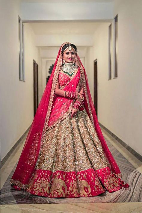 Pink Bridal Lehenga, Orang India, Indian Wedding Lehenga, Designer Bridal Lehenga Choli, Latest Bridal Lehenga, Wedding Lehenga Designs, Bridal Lehenga Collection, Designer Bridal Lehenga, Indian Bridal Lehenga