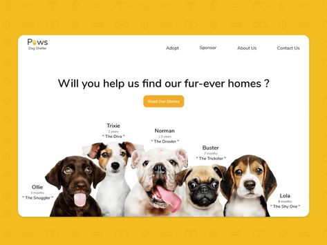 Pet Adoption - Landing Page by Maria on Dribbble Pet Landing Page, Dog Presentation, Website Mockup Design, Adoption Website, Pet Websites, Figma Website Design, Figma Website, Minimalist Template, Interactive Web Design