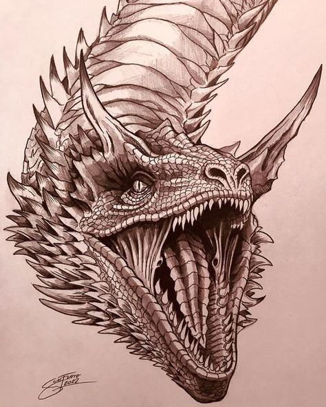 Sammy Furrer on Instagram: "Caraxes, the Red Wyrm und mount of Daemon Targaryen #syrax #caraxes #vhagar #gameofthrones #hbo #asongoficeandfire #asoiaf #dracarys #targaryen #fireandblood #dragon #dragondrawing #dragonartist #creature #fantasy #fantasyart #fantasycreature #instagram #instadraw #reptile #dragonsofinstagram #art #artist #artoftheday #drawingoftheday #drawing #artistoninstagram #hbomax #houseofthedragon #samfuart" Game Of Thrones Dragon Sketch, Drogon Got Sketch, Caraxes Dragon Sketch, Got Dragon Drawing, Syrax Dragon Drawing, Jormungandr Drawing, Caraxes Dragon Drawing, Daemon Targaryen Drawing, House Of Dragon Drawing