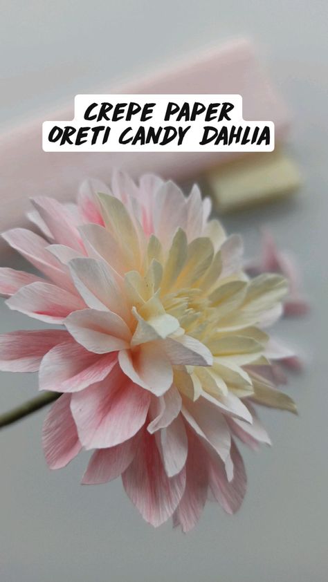 crepe paper flower Dahlia Flower Dahlia, Crepe Paper Flower, Crepe Paper Roses, Paper Dahlia, Paper Bouquet, Paper Mache Crafts, Crepe Paper Flowers, Diy Crafts Paper Flowers, Origami Crafts Diy