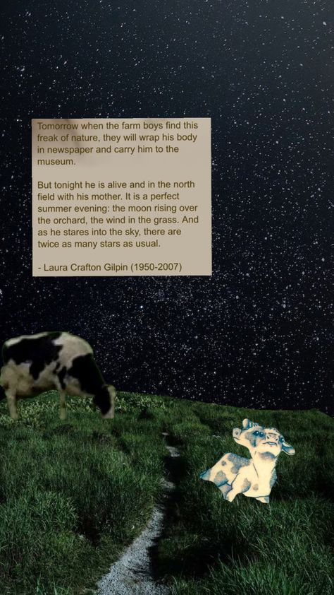 #wallpaper #poem #calf #cow #twoheadedcalf #twoheadedcalfpoem #twoheads #twiceasmanystars #grassfield #starrysky Poem About Two Headed Cow, Double Headed Calf Poem, Two Headed Cow Poem, Two Headed Calf Poem Wallpaper, Two Headed Calf Wallpaper, Two Headed Calf Drawing, Two Headed Calf Poem, Two Headed Calf Tattoo, Poem Tattoo