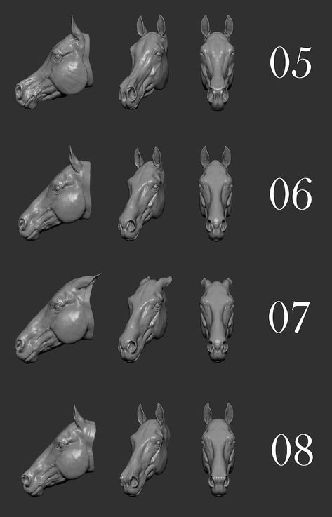 Horse Head for Movable Art Dolls to Make Yourself - Etsy Funny Horse Pictures, Horse Art Drawing, Head Anatomy, Horse Heads, Horse Anatomy, Horse Gear, Animal Study, Horse Drawing, Horse Drawings