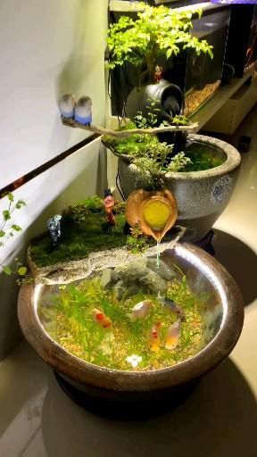 Pond Indoor, Indoor Pond Ideas, Aquarium With Fish, Waterfall Indoor, Pond Inspiration, Pond Ecosystem, Pond Lighting, Cool Fish Tank Decorations, Pond Diy