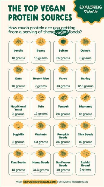 Going vegan doesn’t equal a protein-deficient diet. Explore some top vegan protein sources and keep your plant-based diet well-rounded and healthy. Plant Protein Sources, High Protein Vegetables, Plant Based Protein Sources, Vegetarian Protein Sources, Desayuno Keto, Vegan Protein Sources, Lentils Beans, Protein Rich Foods, Healthy Food Dishes