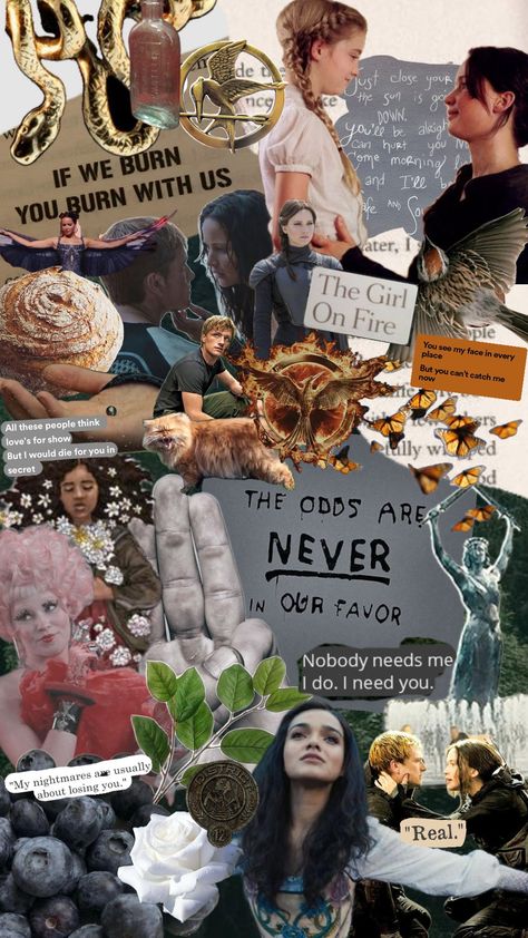 the hunger games Hunger Games Mood Board, Aesthetic Hunger Games, Hunger Games Prequel, Hunger Games Wallpaper, Hunger Games Characters, Games Wallpaper, Hunger Games Fandom, Hunger Games 3, Hunger Games Series