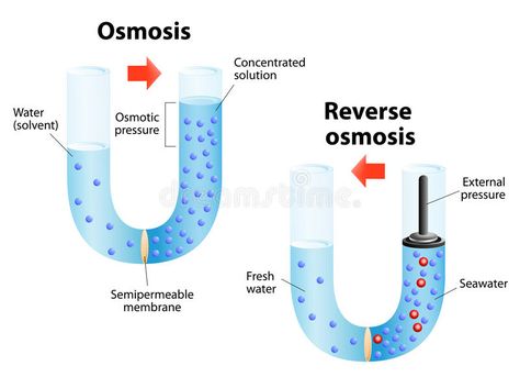 Osmosis and Reverse osmosis. Osmosis - diffusion of fluid through a semipermeabl , #Sponsored, #diffusion, #fluid, #osmosis, #Osmosis, #Reverse #ad Osmotic Pressure, Purify Water, Water Purification Tablets, Making Water, Contaminated Water, Water Purification System, Reverse Osmosis Water, Water Molecule, Reverse Osmosis System