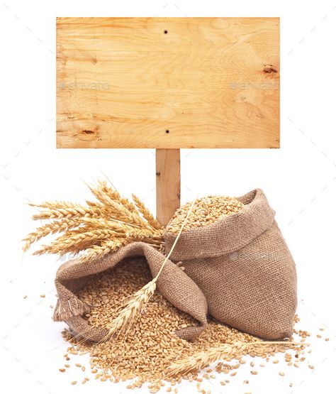 wheat grains with wooden price tag by SeDmi. wheat grains with wooden price tag #AD #wooden, #grains, #wheat, #SeDmi Biblical Backgrounds, Wheat Biscuits, Oil Image, Wheat Flower, Photo Cake Topper, Background Food, Farm Cake, Flat Design Icons, Food Pyramid