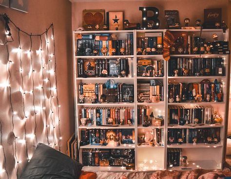 Bookshelf Decor Bedroom Aesthetic, Room Inspo With Bookshelf, Books Shelves Aesthetic, Dream Bookshelf, Bookshelves Aesthetic, Aesthetic Bookshelf, Home Library Rooms, Bookshelf Inspiration, Cool Bookshelves