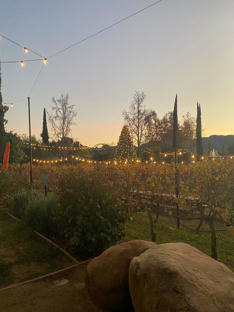 Winery Sonoma California Aesthetic, Napa Valley Aesthetic, Vineyard Aesthetic, Country Romance, Aesthetic Light, Instagram Ideas Post, Napa Valley, Wine Country, First World