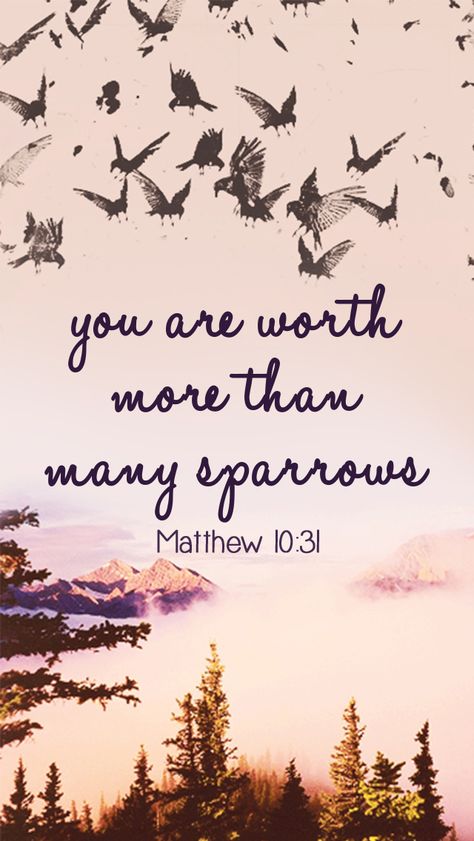 Matthew 10:31 - God sees every sparrow that falls to the ground. Jesus then said: "You are worth more than many sparrows" to show that God holds us in high esteem, and values us. Worth More Than Many Sparrows, Matthew 10 31, A Bible Verse, Matthew 10, Ayat Alkitab, Sparrows, Lord And Savior, Verse Quotes, Bible Verses Quotes