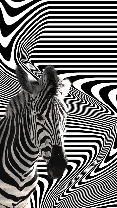 Bnw Wallpaper, Zebra Artwork, The Last Supper Painting, Zebra Wallpaper, Zebra Painting, Abstract Wallpapers, Motif Art Deco, Animal Portraits Art, Racun Shopee