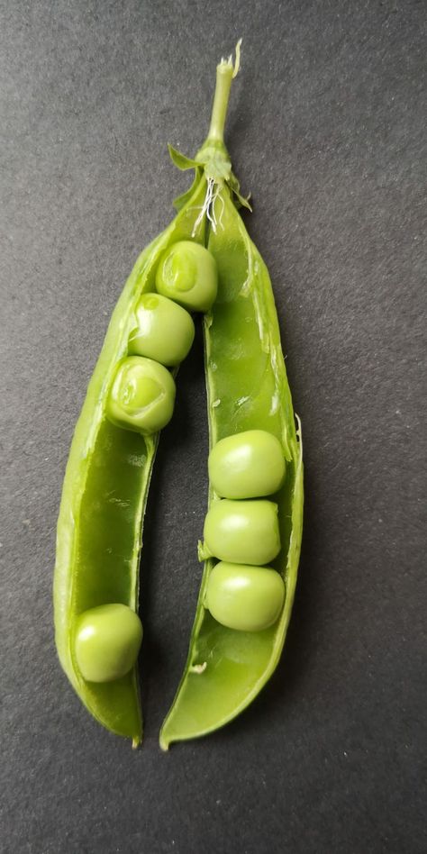 Peas in a pod Poppy Heads, Peas In A Pod, College Stuff, Pea Pods, Natural Forms, Peas, Food And Drink, Ceramics