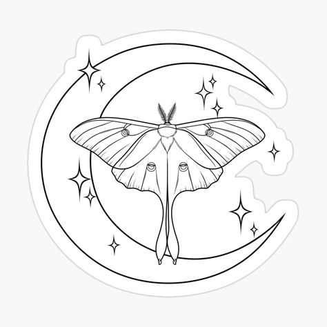 Insect Outline Drawing, White Witch Moth Tattoo, Chinese Moon Moth Drawing, Lunar Moth Tattoo Design Simple, Moth With Moon Tattoo, Moon Moth Drawing, Tattoo Luna Moth, Moth And Moon Tattoo, Luna Moth Tattoo Design