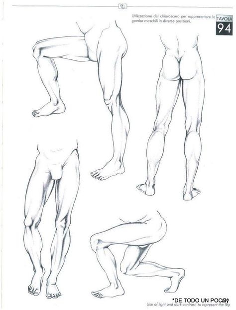 Male Leg Anatomy Drawing, Leg Musculature, Drawing Recipes, Leg Reference, Drawing Topics, Leg Anatomy, Male Body Drawing, Drawing Legs, Leg Art