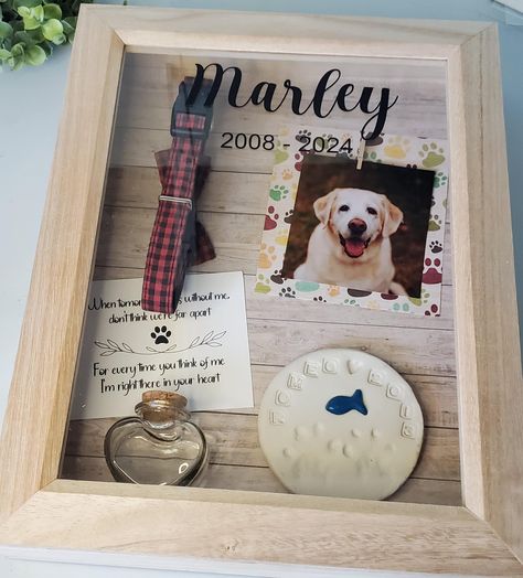 Hinged Shadowbox is XL measuring 12x15 and 2.5 inch deep.  Features:  ~latch closure ~stain of choice ~Name and dates on glass ~ One Photo if you provide one, if you do not it will be left with a clip to add your own. ~pawprint background  ~ Quote card ~ space for pawprint and collar  Pawprint and collar are NOT INCLUDED...you may add your own and position them as shown ~ 3oz glass keepsake jar for fur A collar, pawprint or other small items can be added to the display to memorialize your belove Diy Pet Memorial Ideas Cricut, Dogs Ashes Ideas, Diy Dog Memorial Shadow Box Ideas, Dog Shadow Box Ideas, Pet Memorial Shadow Box Dogs, Dog Shadow Box Pet Memorials, Dog Memorial Shadow Box Ideas, Pet Keepsake Ideas, Dog Collar Memorial