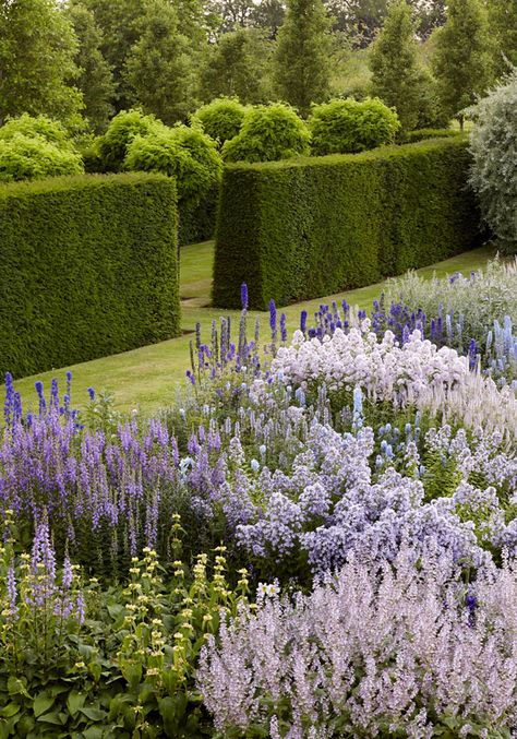 Secret gardens of the Cotswolds - Telegraph Yew Hedge Border, Cotswold Garden Ideas, Monochromatic Garden, Large Garden Design, Hedge Garden Design, Ground Elder, Yew Hedge, English Garden Ideas, Flower Hill