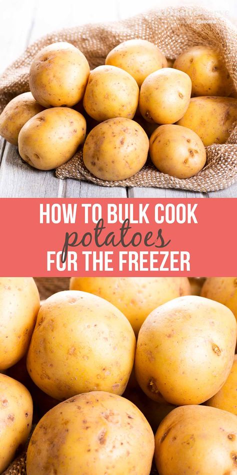 Learn how to prepare and freeze potatoes in bulk with this potato plan. #bulkcooking #cooking for the frrezer #freezercooking #potatoes #addsaltandserve #menus4moms Freezer Potatoes, Freeze Potatoes, Freezing Potatoes, Freezing Food Guide, Dehydrated Meals, Cook Potatoes, Freezing Vegetables, Bulk Cooking, Camping Snacks