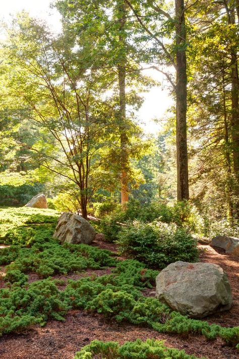 When it comes to low-maintenance hillside landscaping, boulders are your best bet. Within a landscape, boulders are like plants that require zero maintenance or watering, while offering nice visual contrast. To break up a hillside landscape, place large boulders throughout. Boulders will add interest and height to hillsides carpeted with low-lying groundcovers. Plus, the more rocks you add, the more they'll anchor the soil. Boulder Garden, Landscaping A Slope, Hillside Garden, Hgtv Garden, Sloped Backyard, Landscaping With Boulders, Meditation Garden, Hillside Landscaping, Sloped Garden