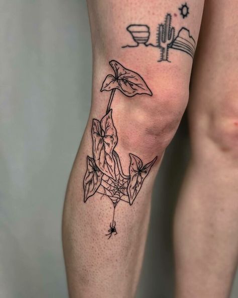 An arrowhead vine around the knee with a spider tattoo Knee Dotwork Tattoo, Top Of The Knee Tattoos Women, Knee Dragon Tattoo, Modern Floral Tattoo, Neo Trad Knee Tattoo, Sick Knee Tattoos, Arrowhead Plant Tattoo, Knee Hinge Tattoo, Matching Knee Tattoos Women