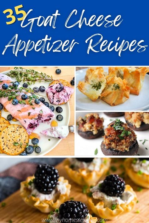 Goat Cheese Appetizers For Party, What To Pair With Goat Cheese, Appetizer Recipes Goat Cheese, Savory Goat Cheese Appetizer, Goat Cheese And Crackers, Easy Goat Cheese Appetizer, Blueberry Goat Cheese Appetizer, Appetizer Bread Recipes, Easy Goat Cheese Recipes