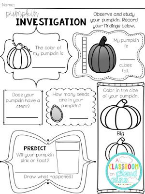 Pumpkin Science For Kindergarten, Second Grade Pumpkin Science, Pumpkin Science Worksheet, Pumpkin Science 1st Grade, My Pumpkin Investigation, Pumpkins 1st Grade, Pumpkin Study Unit, Pumpkin Observation Worksheet, Pumpkin Craft 2nd Grade