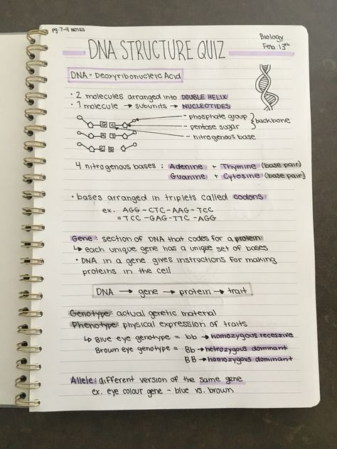 ⓑⓑⓨⓟⓔⓐⓒⓗⓨ✨ Biology Dna Notes, Dna Notes Biology, Ap Bio Notes, Ap Biology Notes, Dna Notes, Bio Notes, Biology Revision, Study Biology, Biology Classroom