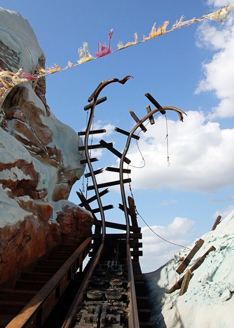 Expedition Everest cracked railways Expedition Everest, Disney Parque, Disney World Rides, Disney World Pictures, Disney Rides, Disney World Florida, Disney Photography, Parc D'attraction, Disney Animals