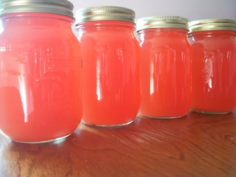 Lemon Ginger Drink, Making Jelly, Rhubarb Juice, Bread Yeast, Plum Juice, Slush Recipes, Wild Plum, Rhubarb Desserts, Ginger Drink