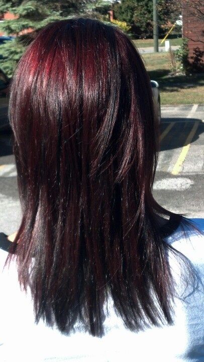 cherry black hair color | Black cherry hair color | New Hair??? Merlot Hair Color, Black Cherry Hair Color, Black Cherry Hair, Hair Fall Remedy, Cherry Hair Colors, Black Red Hair, Cherry Hair, Hair Color Black, Dark Red Hair