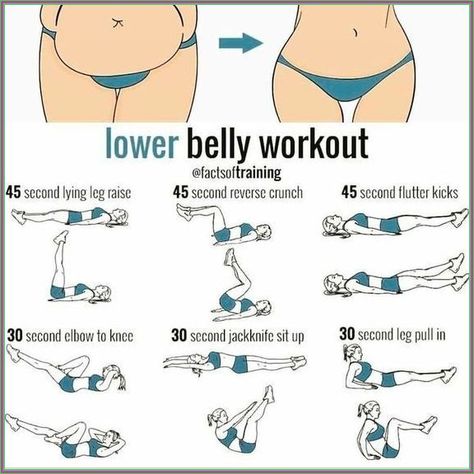 Membakar Lemak Perut, Gym Antrenmanları, Lower Belly Workout, Month Workout, Workout Routines For Beginners, Workout For Flat Stomach, Trening Fitness, Quick Workout Routine, Workout Without Gym