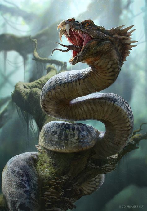 Snake Monster, Snake Dragon, Giant Snake, Snake Wallpaper, Monster Artwork, Mythical Creatures Fantasy, Witcher Art, Mythical Dragons, Snake Art