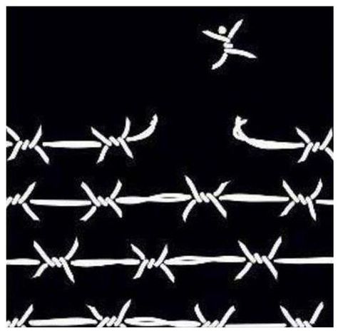 run free Barbed Wire, A Black, Birds, Black