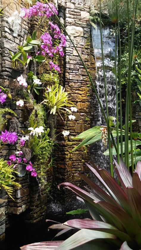 Orchid Conservatory, Outdoor Showers, Garden Idea, The Orchid, Green House, House Garden, Garden Spaces, Stone Wall, Garden Planters