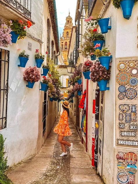 Cordoba Spain, Moorish Architecture, Seville Spain, South Of Spain, Urban Aesthetic, Beautiful Patios, Europe Summer, Rooftop Bar, Archaeological Site