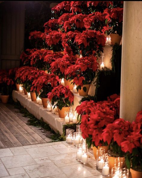 Kourtney Kardashian Christmas Poinsettia display 2019 Kardashian Christmas Eve Party, Formal Christmas Party, Kardashian Christmas, Christmas Eve Party, Luxury Christmas Decor, Winter Wedding Decorations, My Mood, Christmas Poinsettia, Christmas Party Decorations