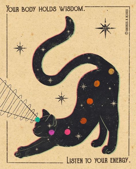 A Black Cat, Snakes, The Words, A Black, Black Cat, Roses, Energy, Stars, On Instagram