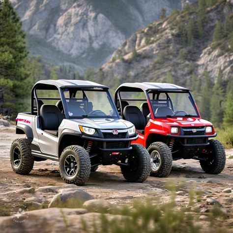 Honda Pioneer, Honda Pioneer 1000, Kawasaki Mule, Honda S, Utility Vehicles, Roll Cage, Small Cars, Offroad Vehicles, The Choice