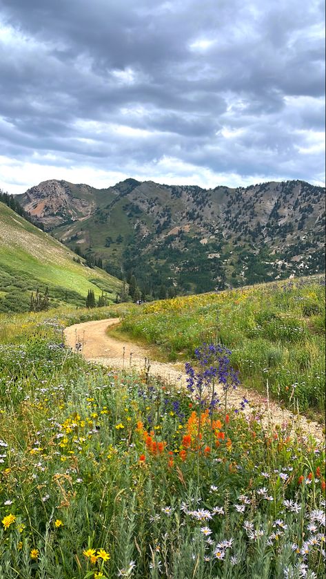 Hike View Aesthetic, Colorado Core Aesthetic, Hiking In The Mountains Aesthetic, Hiking Nature Aesthetic, Utah In Spring, Country Mountains Aesthetic, Flowers On Mountain, Vision Board Nature Aesthetic, Living In Mountains Aesthetic